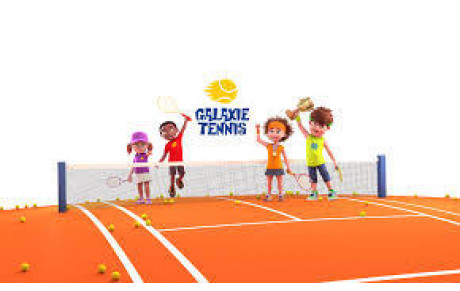 GALAXIE TENNIS: COUPE DAVIS ORANGE 8 DEC A VITRE ET 4 JANV A CESSON-SEVIGNE